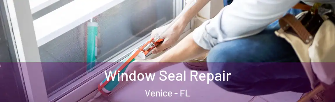 Window Seal Repair Venice - FL